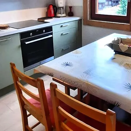 Duplex 40m² - 6 Pers - Pistes Turche 30m - Garage - Navettes Gratuites - Fr-1-802-82 *
